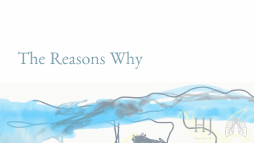 the-reasons-why-main-banner-1080×675