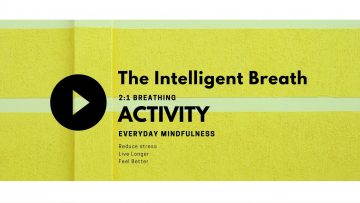 Copy of Blog Banners