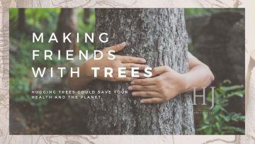 2022-Making-friends-with-trees.jpg